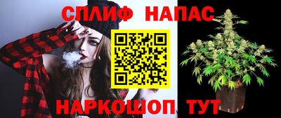 крисы Северобайкальск