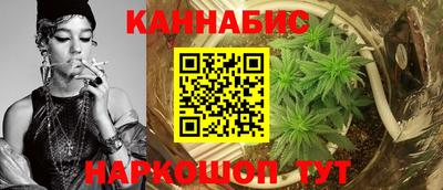 крисы Северобайкальск