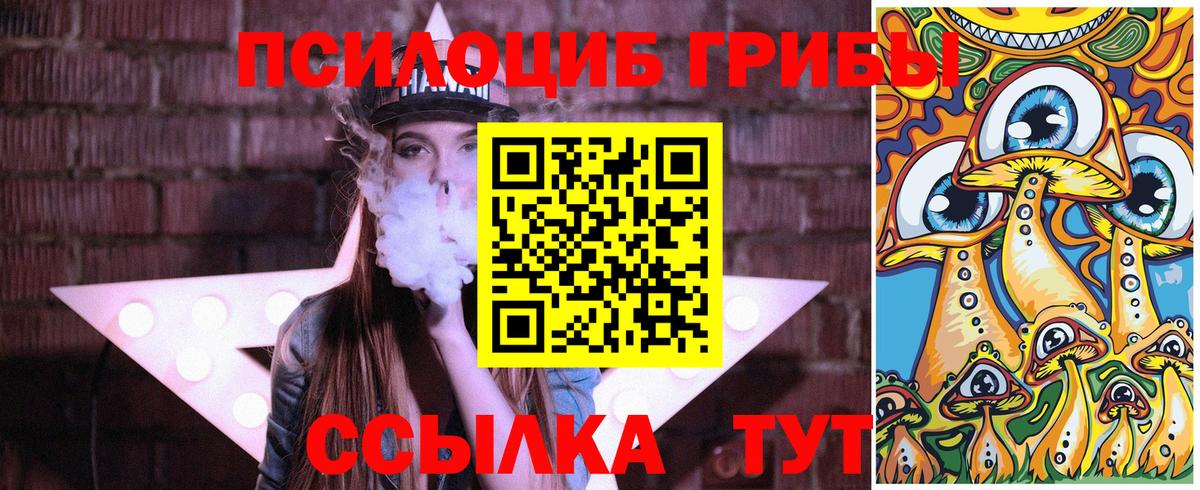 Псилоцибиновые грибы мицелий  Вход с VPN  Саранск 